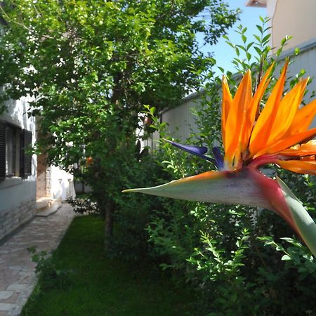 Bed and Breakfast Manelisa Cascaes Exterior foto